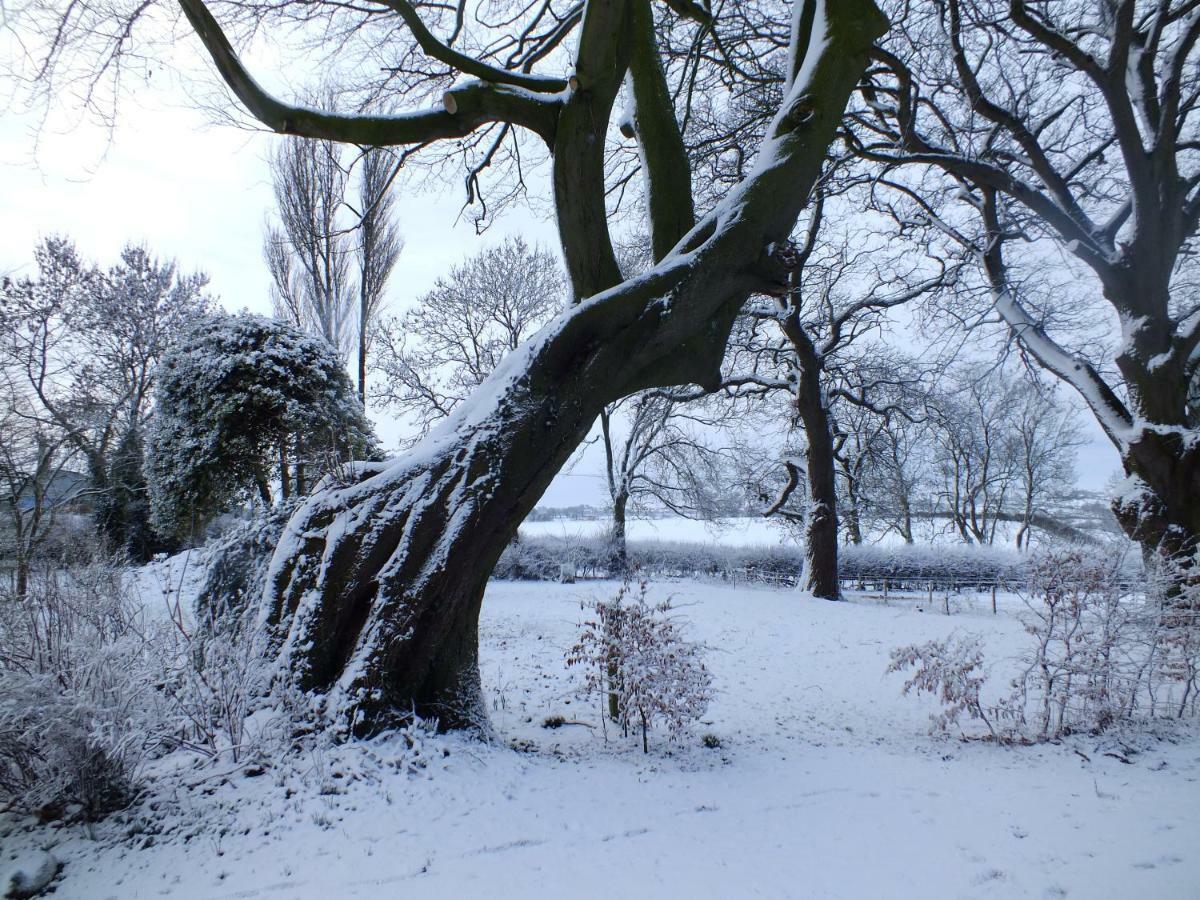 White House Farm Cottages West Haddon 外观 照片